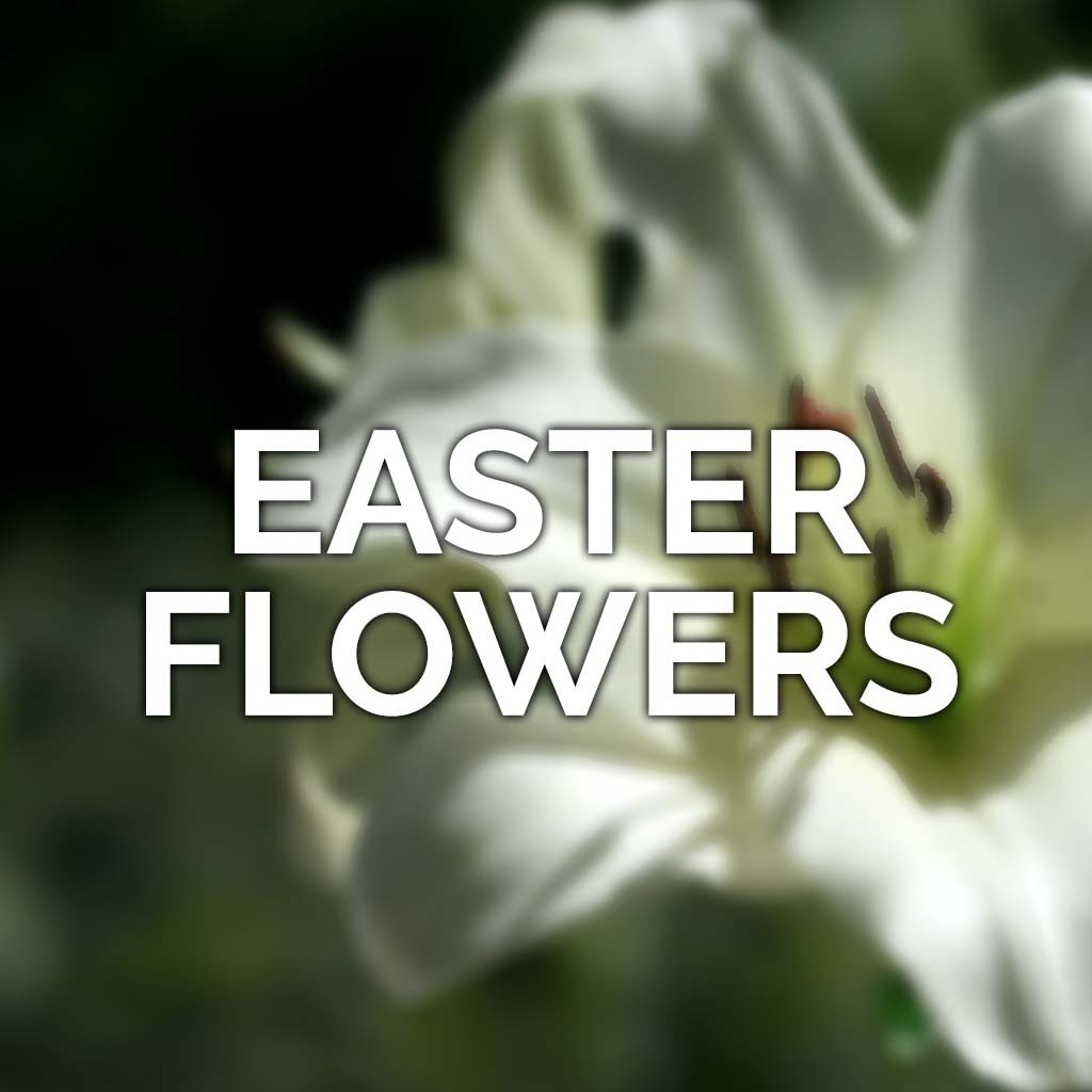 Easter Flowers